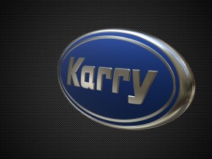 karry logo Model 3D