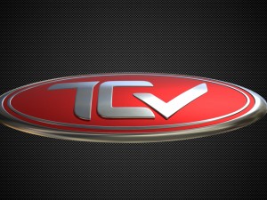 tcv logo 3D Model