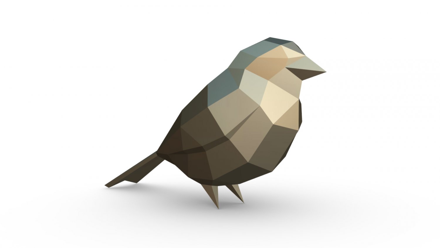 3d sparrow