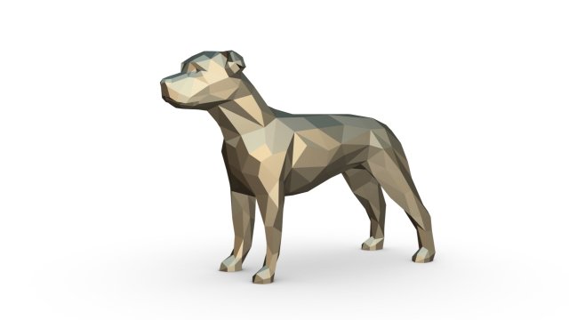 American staffy best sale x blue heeler