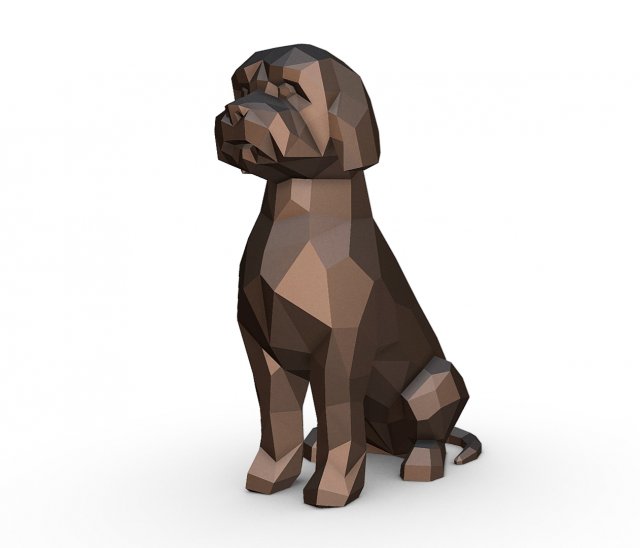 lagotto romagnolo Modèles 3D en vedette .c4d .max .obj .3ds .fbx .stl .blend 