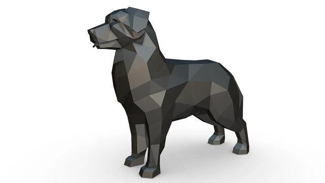 Berger australien 3D Print Model .c4d .max .obj .3ds .fbx .stl .blend