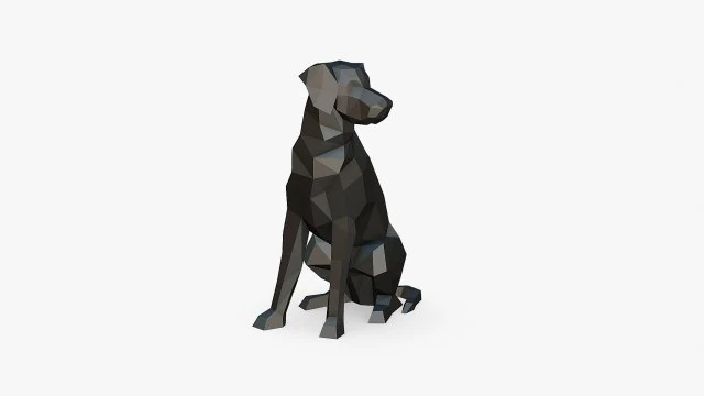 Border collie lab mix 3D Print Model .c4d .max .obj .3ds .fbx .stl .blend 