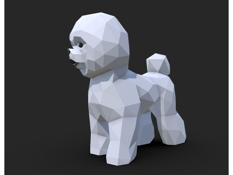 Bichon Frise dog Modèles 3D en vedette