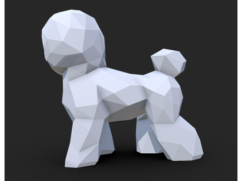 Bichon Frise dog Modèles 3D en vedette