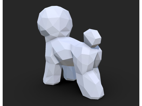 Bichon Frise dog Modèles 3D en vedette