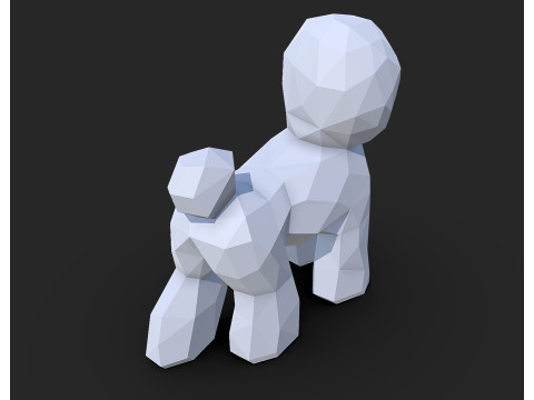 Bichon Frise dog Modèles 3D en vedette