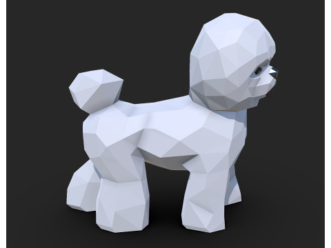 Bichon Frise dog Modèles 3D en vedette