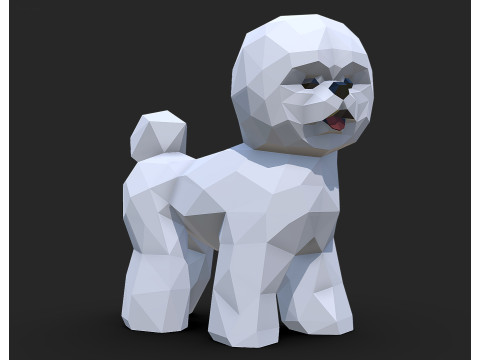 Bichon Frise dog Modèles 3D en vedette