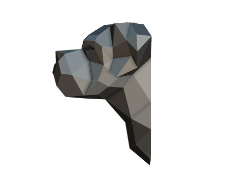 Cane Corso head Modello di stampa 3D