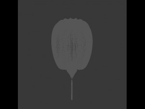 kongming latern Model 3D