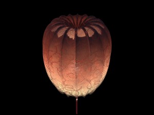 kongming latern Model 3D