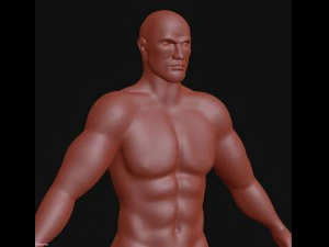 siatka podstawowa dla mężczyzn Model 3D