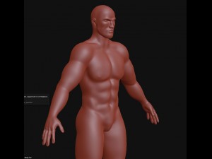 man base mesh Modelo 3D