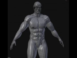 man base mesh 3D Model
