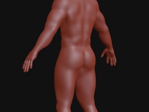 man base mesh Modelo 3D