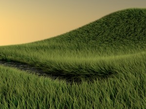 stunning realistic glade vr - ar - low-poly 3D 모델