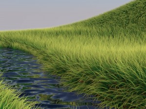 stunning realistic glade vr - ar - low-poly 3D 모델