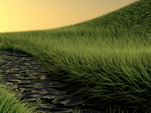 stunning realistic glade vr - ar - low-poly 3D 모델