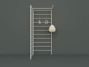 swedish ladder wall bars Model 3D