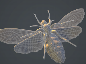 acherontia atropos death head hawk moth pbr 3D Model