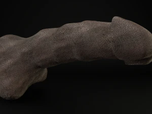 фаллос 3D Модель