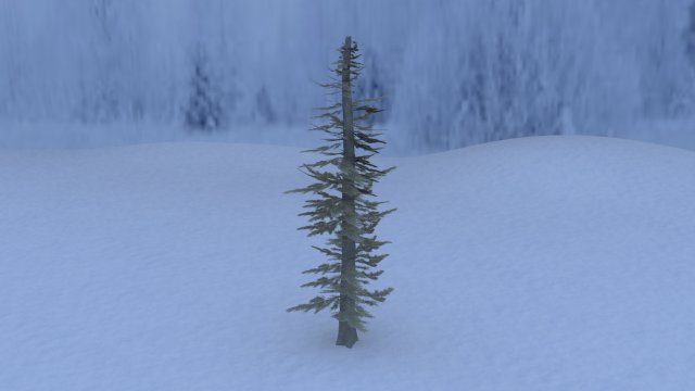 pine tree 3D Model .c4d .max .obj .3ds .fbx .stl .blend 