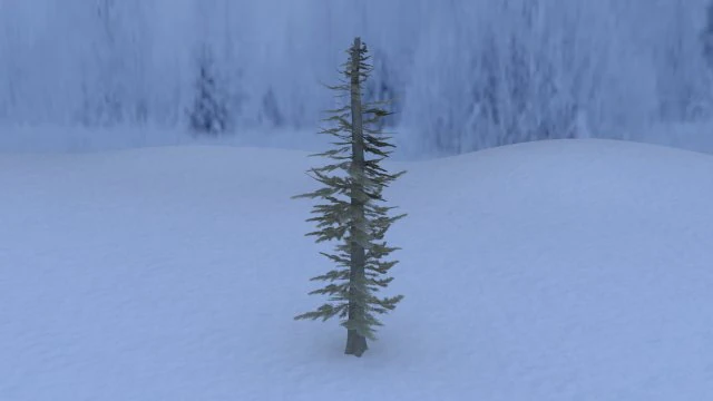 pine tree 3D Model .c4d .max .obj .3ds .fbx .stl .blend