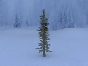 pine tree 3D Model