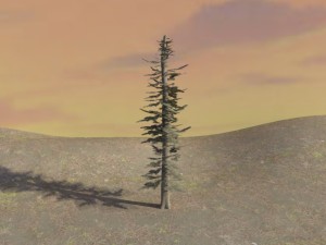 pine tree 3D Model
