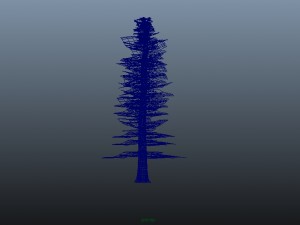 pine tree 3D Model