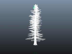 pine tree 3D Model