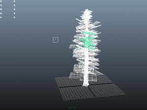 pine tree 3D Model