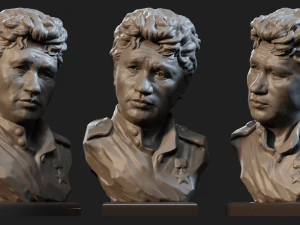 lv bykov dolore maggiore titarenko Modello 3D