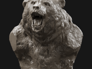 bear grin bust 3d print model 3D Print Model