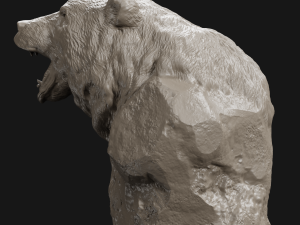 bear grin bust 3d print model 3D Print Model