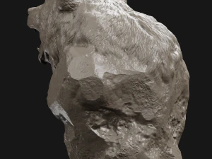 bear grin bust 3d print model 3D Print Model