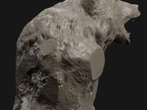 bear grin bust 3d print model 3D Print Model