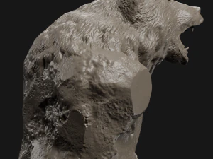 bear grin bust 3d print model 3D Print Model