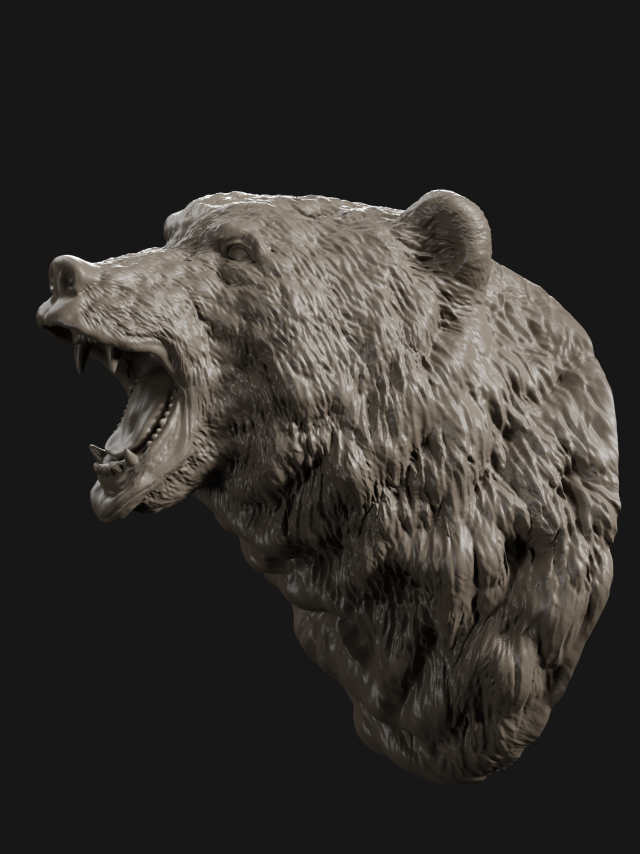 bear head grin 3d print model Modelo de Impressão 3D .c4d .max .obj .3ds .fbx .stl .blend 