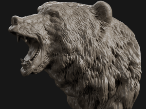bear head grin 3d print model 3D Print Model