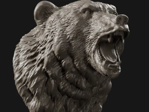 bear head grin 3d print model 3D Print Model