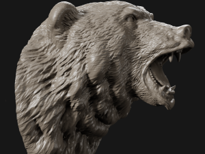bear head grin 3d print model Modelo de Impressão 3D