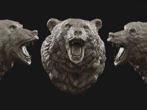 bear head grin 3d print model 3D Print Model