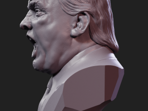 angry trump 3D Baskı Modeli
