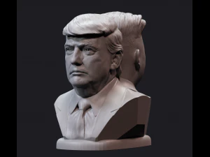 donald and kim 1 3D Print Model