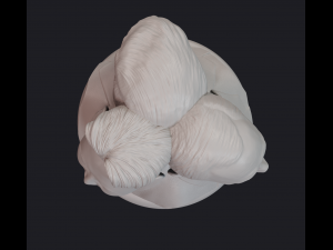 trinity 1 3D Print Model