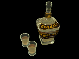 tequila 3D Model