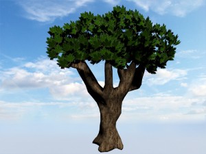 tree 3D Model