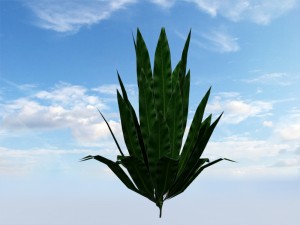 bush Modelo 3D
